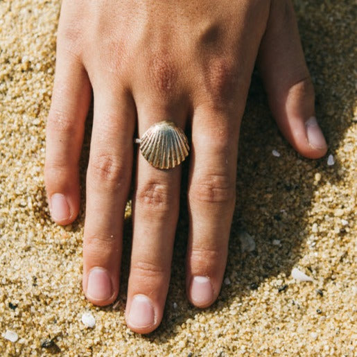 Clam Shell Ring
