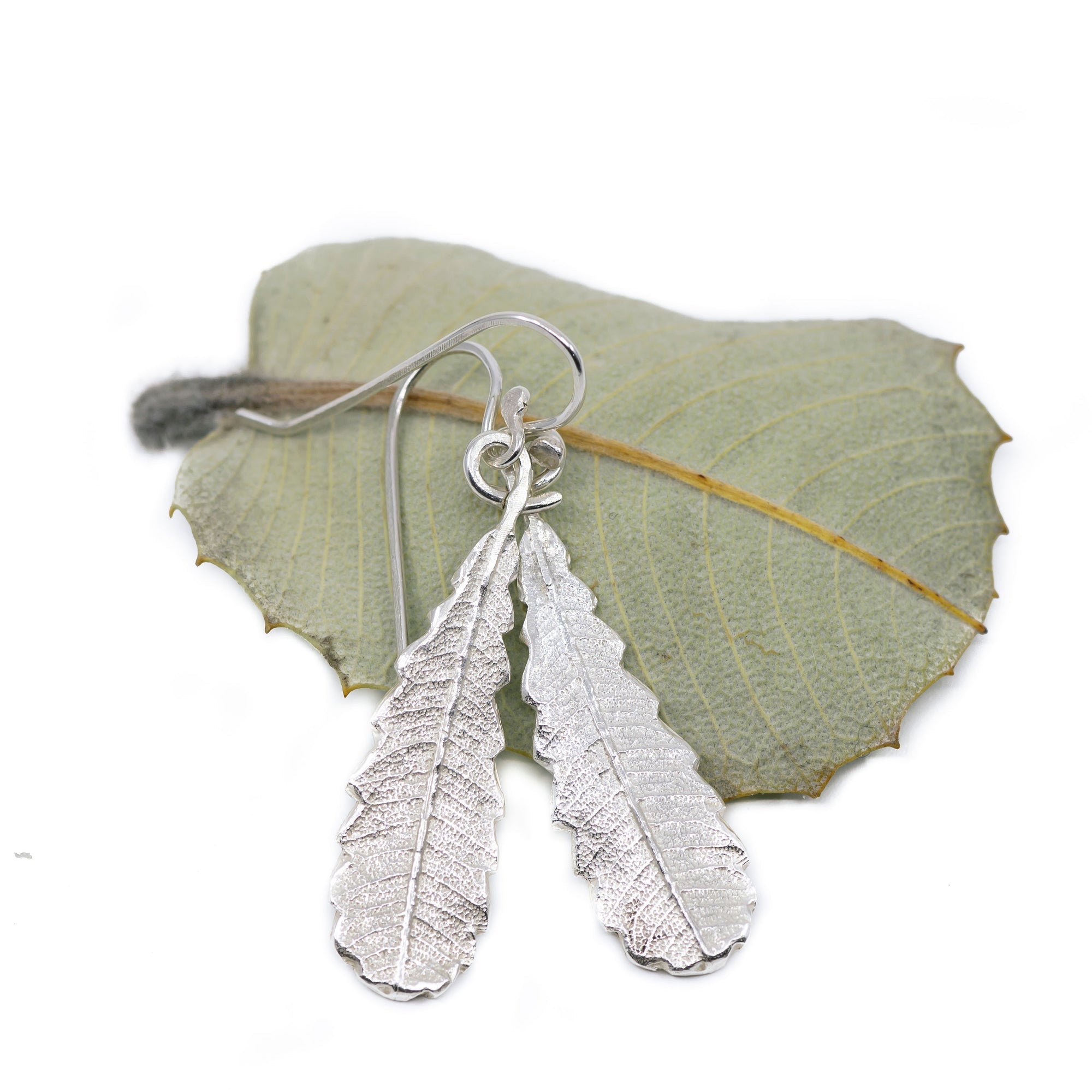 Banksia Leaf Earrings