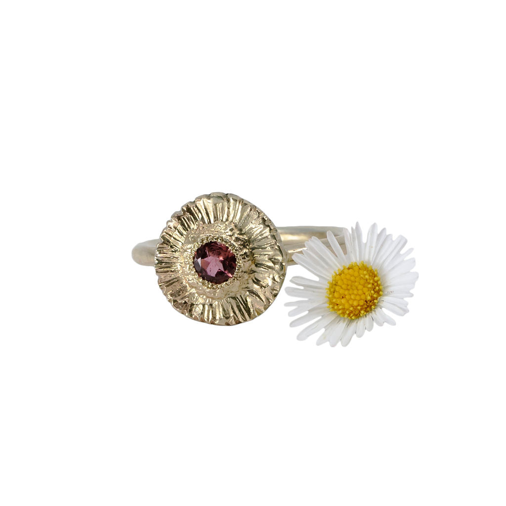 Gold Seaside Daisy