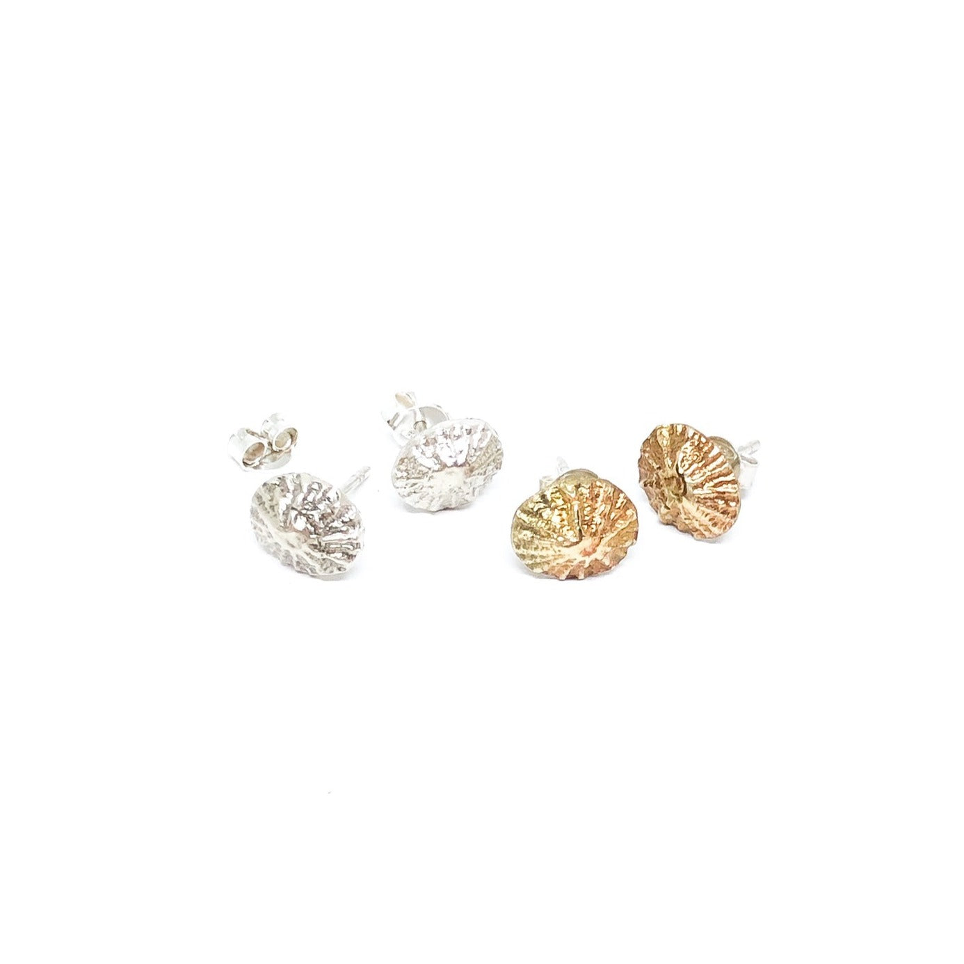 Limpet Shell Studs