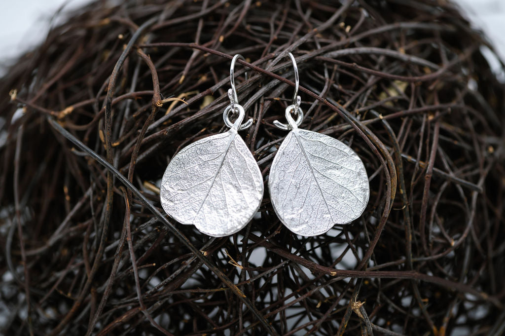 Snow Gum Leaf Earrings