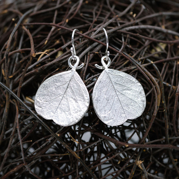 Snow Gum Leaf Earrings