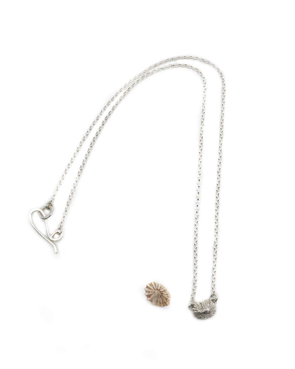 Dainty Limpet Shell Necklace