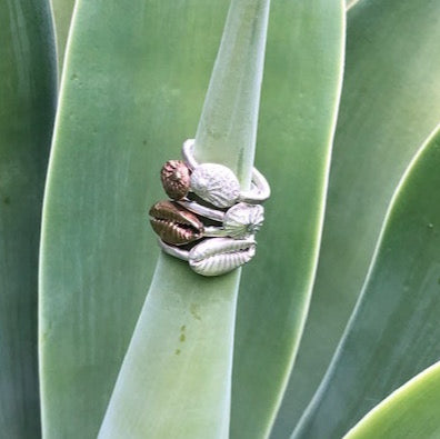 Cowrie Shell Ring