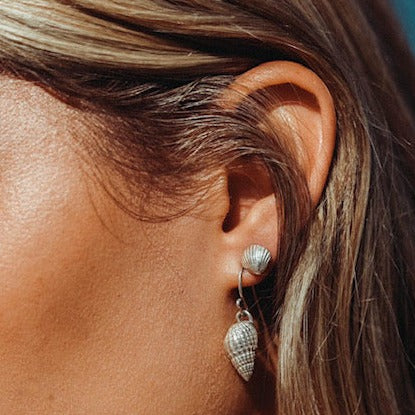 Clam Shell Studs