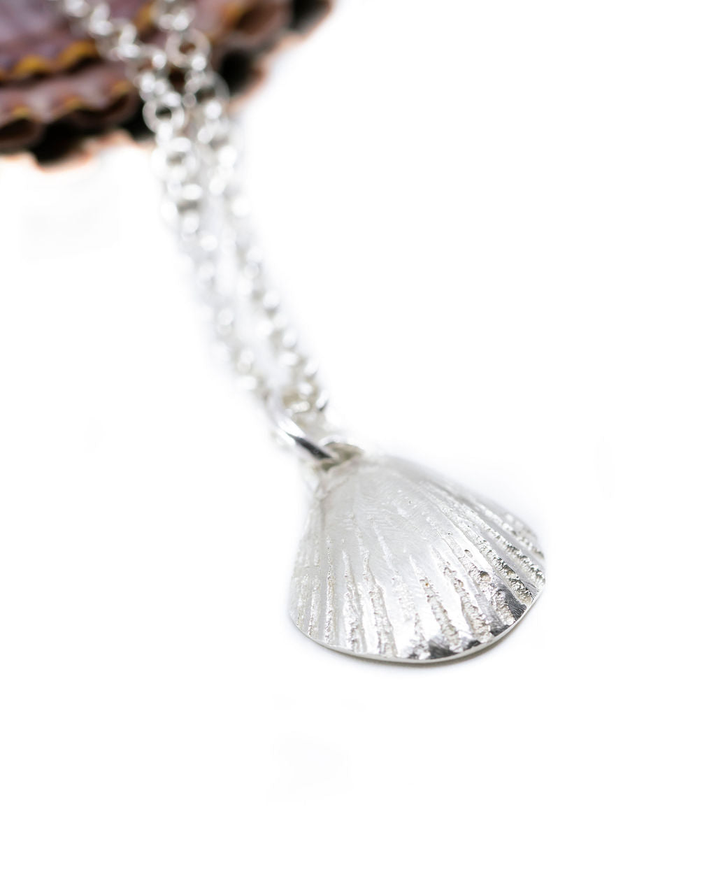 Clam Shell Necklace