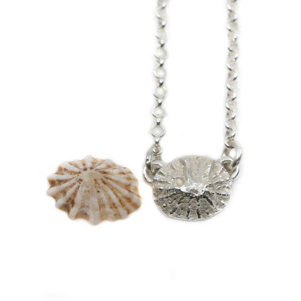 Dainty Limpet Shell Necklace
