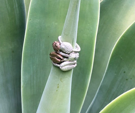 Limpet Shell Ring