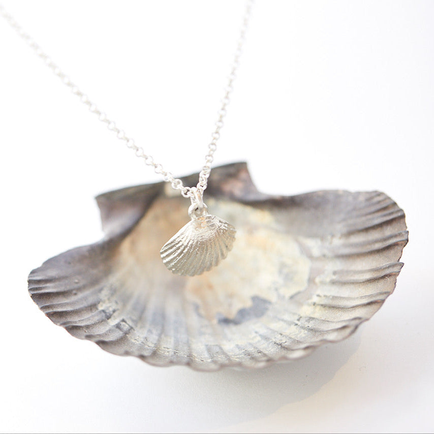 Clam Shell Necklace
